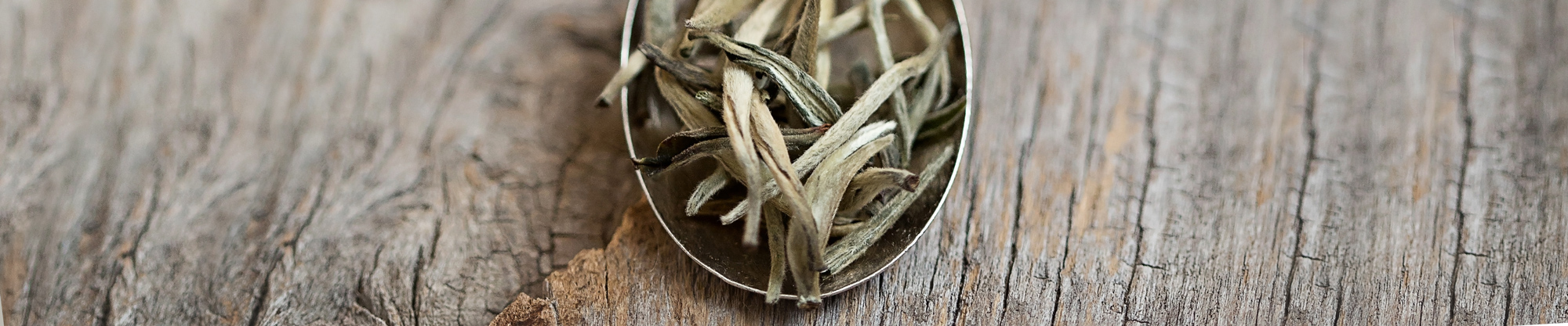 White Tea White Tea