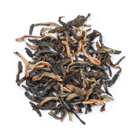 Ancient Yunnan (sample)