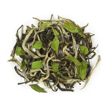 Moroccan Mint (sample) 