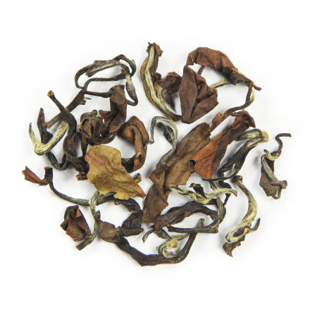 Oriental Beauty (tin)