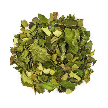 Rainforest Mint (tin)