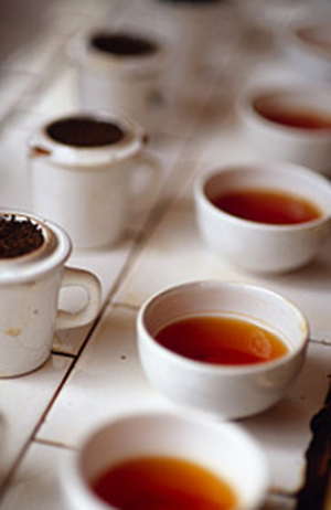 cupping-tea